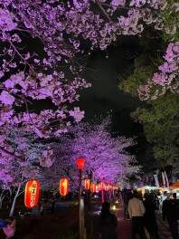 きつねじま日和第79回～新年度の始まり